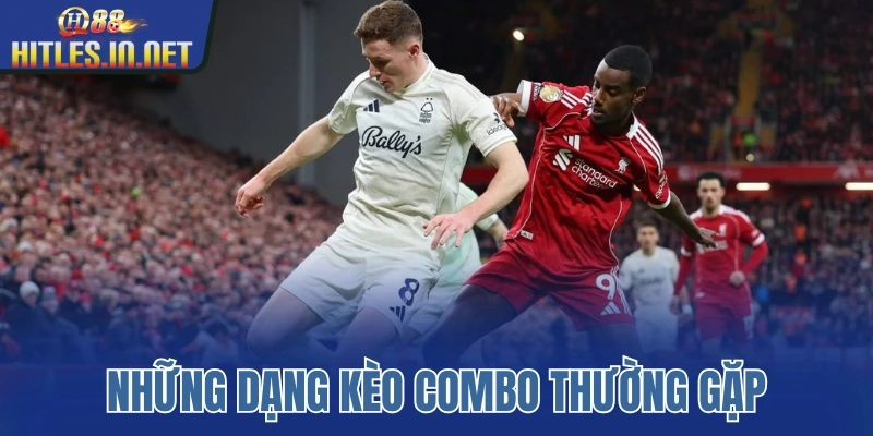 Những dạng kèo combo thường gặp Những dạng kèo combo thường gặp